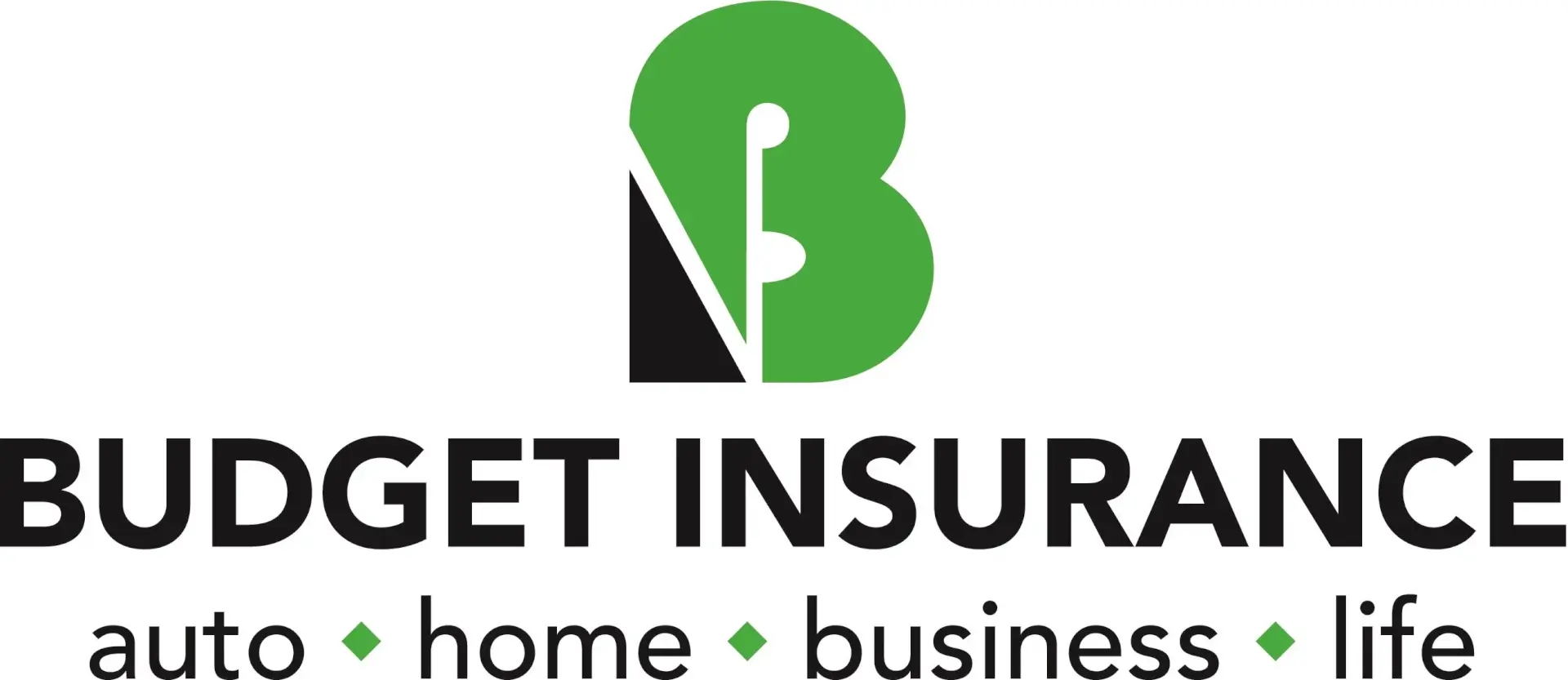 Budget Insurance, Inc